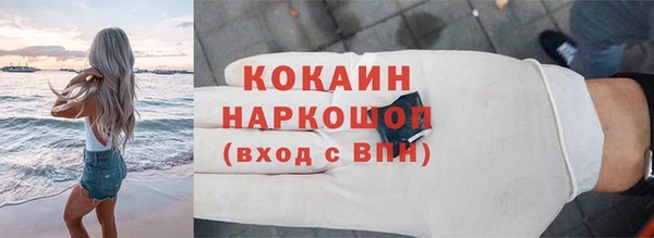 шишки Каменногорск