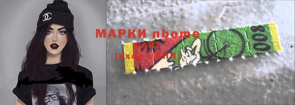 шишки Каменногорск