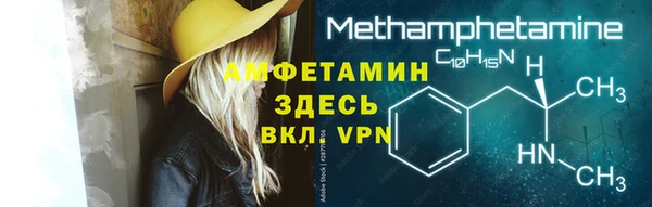 шишки Каменногорск