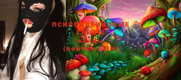 синтетический гашиш Каменка