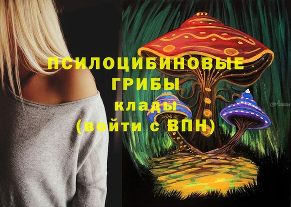 шишки Каменногорск