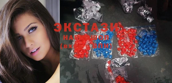 шишки Каменногорск