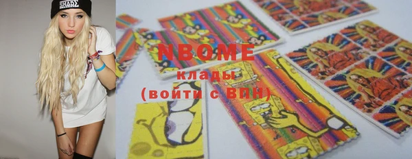 шишки Каменногорск