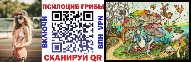 Купить  Видное  Галлюциногенные грибы мухоморы 